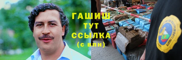 гашик Костерёво