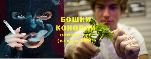 гашик Костерёво
