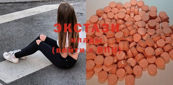 гашик Костерёво