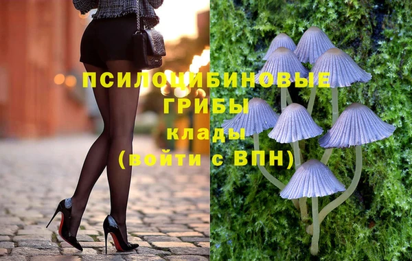 гашик Костерёво