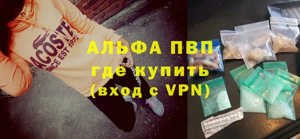 гашик Костерёво