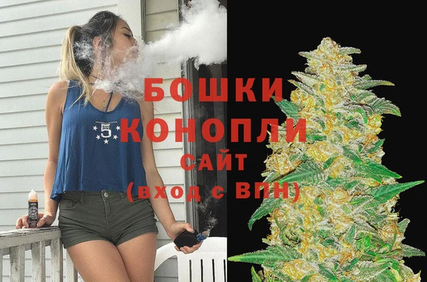 гашик Костерёво