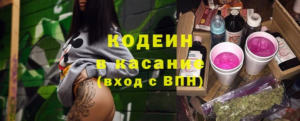 гашик Костерёво
